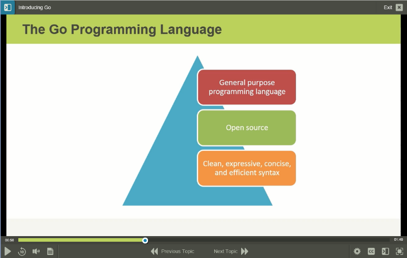 9101177-Go-Programming-Fundamentals-1